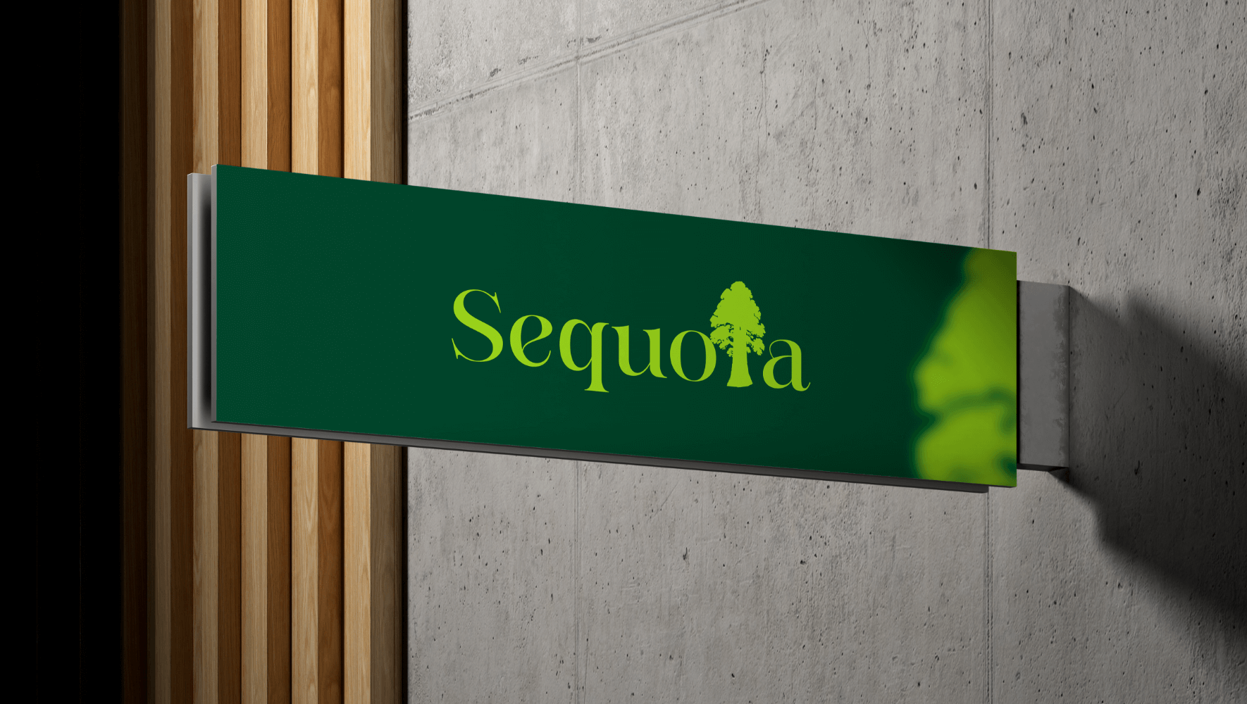 sequoia