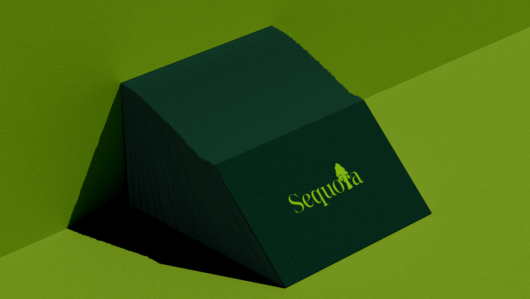 sequoia